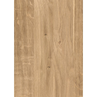 Rückwandsystem CS Easypanel Alu 1.0, 255 x 100 x 0,03 cm, Wildeiche elegant Holzstruktur